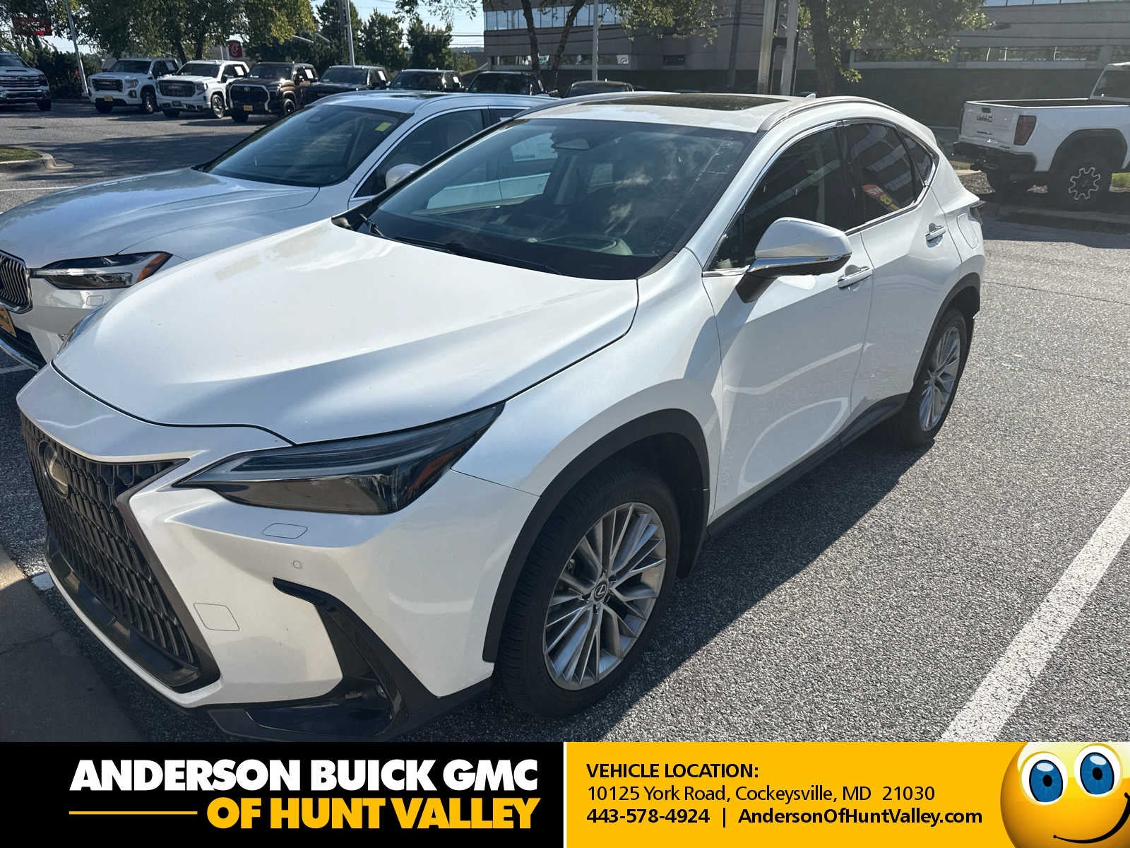 2024 Lexus NX 350 Luxury