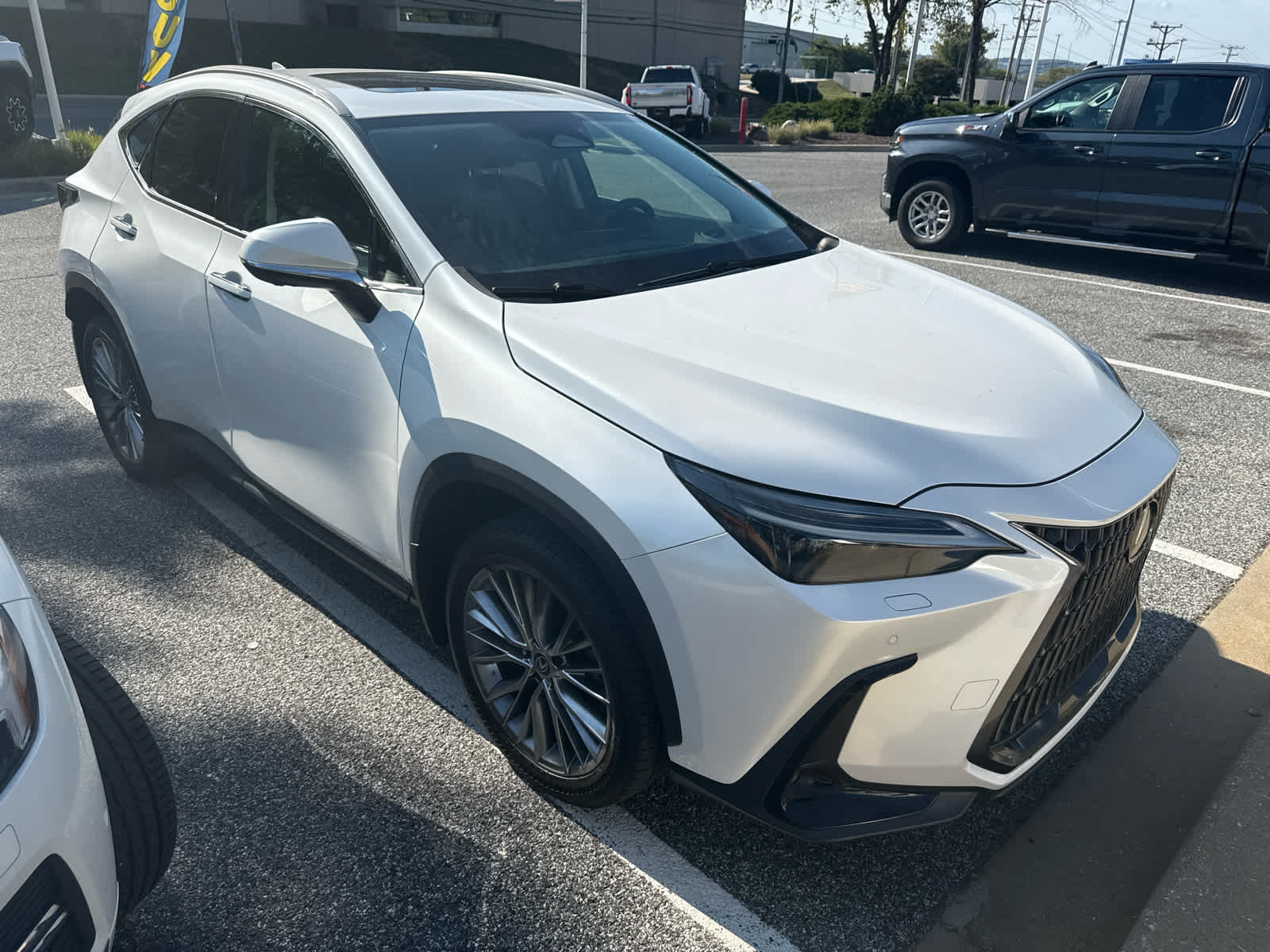 2024 Lexus NX 350 Luxury