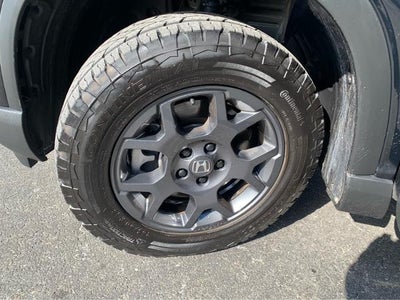 2023 Honda Pilot TrailSport