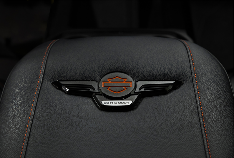 LIMITED EDITION NUMBER PLATE